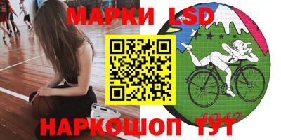 гашик Кунгур