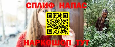 гашик Кунгур