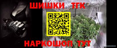 гашик Кунгур