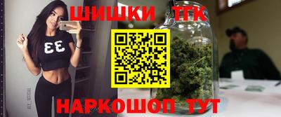 гашик Кунгур
