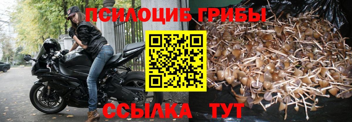 Галлюциногенные грибы ЛСД Донецк