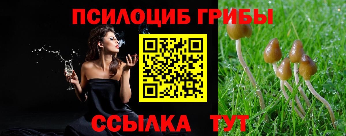 Донецк  Псилоцибиновые грибы прущие грибы  Вход с VPN 
